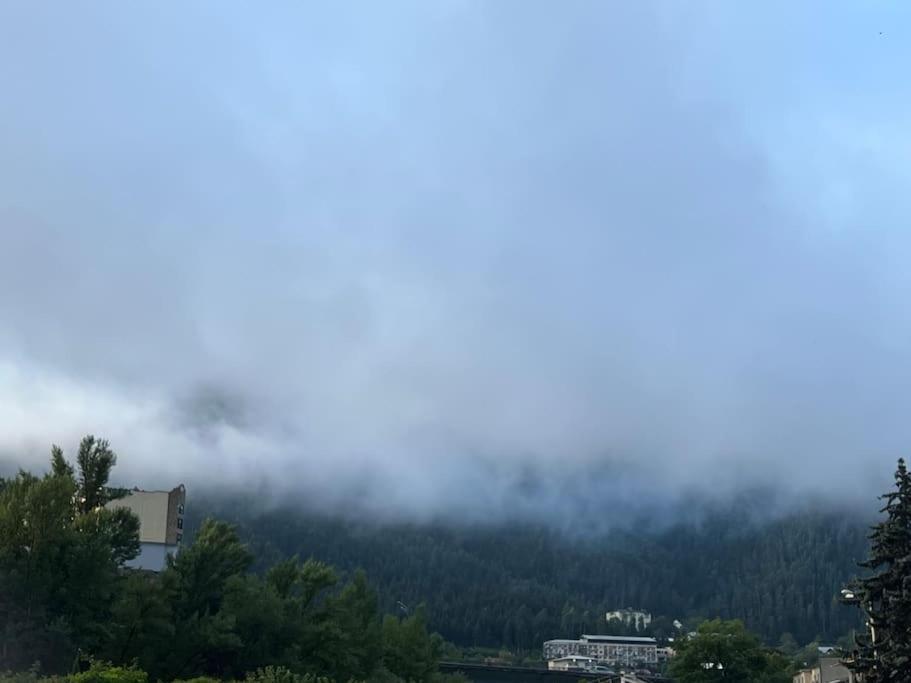 Ana'S Cosy Home In Borjomi Center Экстерьер фото